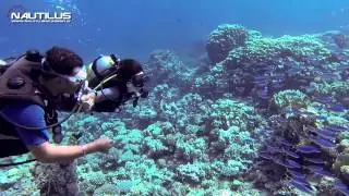 Battesimo Valentina - Sharm El Sheikh