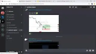 SWATfx 1st Quarter Signals