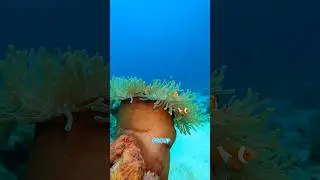 Water Animals with Superpowers- #3 Will Shock You!