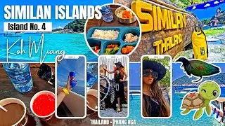 34 🌊 KOH MIANG (Island No. 4) • #SimilanIslands • PHANG NGA • THAILAND • December 11, 2023