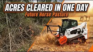Before and After: Clearing Woods to Build a Horse Farm!