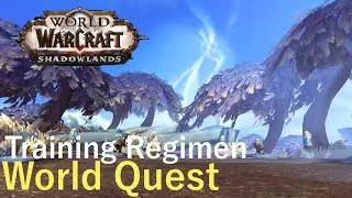 Shadowlands-Training Regimen-World Quest