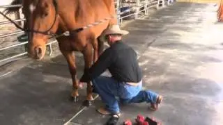 Denny Chapman Pro Orthopedic Support Boots