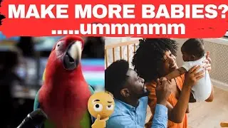 SVG Government says Make More Babies?!  🦜
