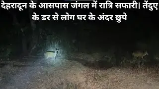 देहरादून के आसपास जंगल में रात्रि सफारी। तेंदुए के डर से लोग घर के अंदर छुपे  @aazamintothewild