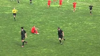 Psovanje sudije