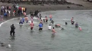 Houghs Neck Polar Plunge 2017