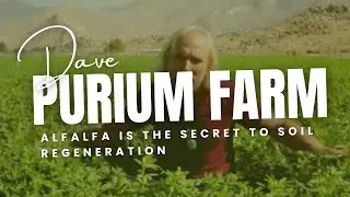 Why Alfalfa Is the Secret to Soil Regeneration - Purium&rsquo;s Most Powerful Plant Revealed!