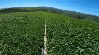 Spring mountain biking in Southern California can be interesting sometimes.