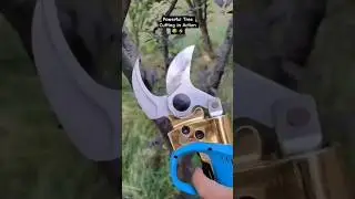Heavy Duty Tree Cutter Machine | Fast & Smooth Cutting 🌲