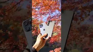 Shot on Xperia 1V vs iPhone 15 Pro Max⚡🫰🏻👀@NextGenTechOfficial1 #xperia1v #iPhone15ProMax