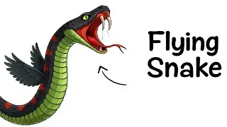 Why It Sucks to Be Born as a Flying Snake