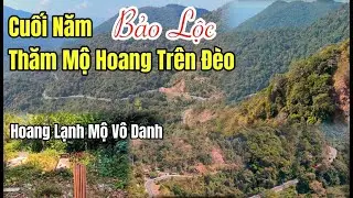 Cuối năm thăm những ngôi mộ hoang trên đèo Bảo Lộc, huyền ảo cảnh rừng Bảo Lộc mùa thay lá.