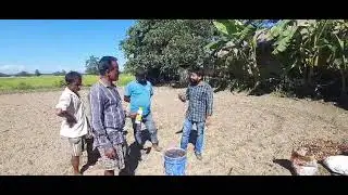NANO DAP  ASSAM GOLAGHAT POTATO SEED TREATMENT RABI 2024   Copy