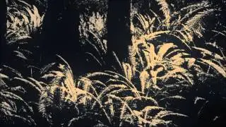 Seba - Jungle Music