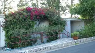 Actor Director Barry Primus Former Home Hollywood Hills Los Angeles California USA June 14, 2024