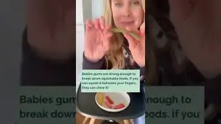 If your baby has no teeth, and you&rsquo;re nervous to serve them solid foods, you&rsquo;ve come to the right