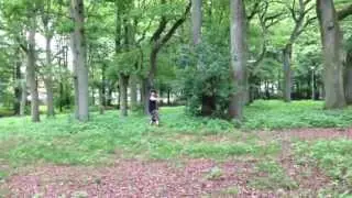 A day at Eslöv Disc Golf course