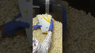 UNLIMITED POPCORN & COKE IN PVR 🤩🤩 | #food #foodie #budget