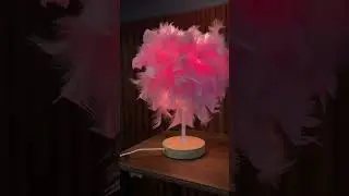Pink Feather Lamp!