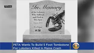 PETA Asking Maine To Build Roadside Memorial Where Lobsters Died