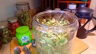 Stevia Taste Test: From the Garden vs. Off the Shelf