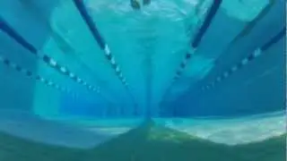 Lifetime Fitness Pool