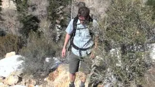 Kuhl Ambush Cargo Short