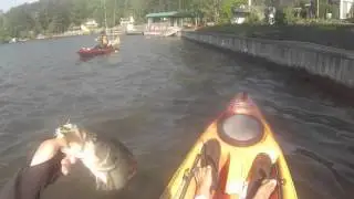 Bassing