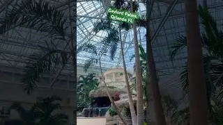 Gaylord Palms, Orlando FL