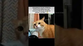 #shorts #funny #memesguru2 #memeworld #memesworldofficial #memes #funnymemes