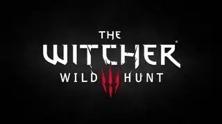 The Witcher 3 (Pre Next Gen Update) FULL PLAYTHROUGH PART 14