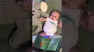 Storytime with Jack!📚 The Surfing Animals Alphabet!🏄🏼&zwj;♂️🐘Like and Subscribe!! #reading #storytime