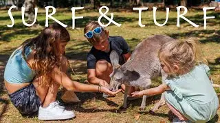 The ONLY way to experience Australia Zoo with kids! | NSW Adventure Family Travel