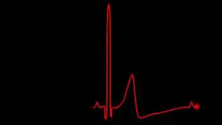 heartbeat free looping video 4k video loop 100% free #videoloop  #4kvideo  #loopingvideo
