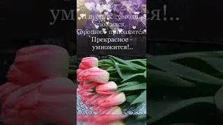 Доброе утро!