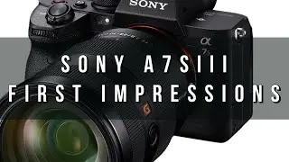 Sony A7sIII First Impressions! Is This Your Next Camera?