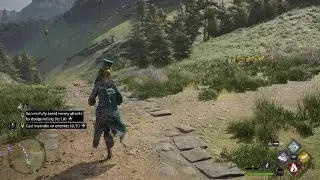 Hogwarts Legacy Flower Music