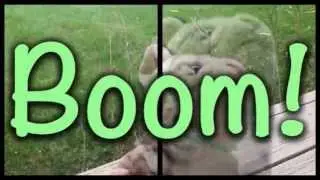 World go boom Webkinz Music Video Megan Mellow