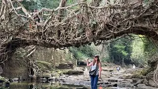 Living root bridge leh Asia a khaw fai ber tlawh na #Mawlynnong  #vlog #travel #livingrootbridge