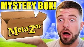 MetaZoo Sent Me a MYSTERY BOX!