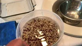 Malting corn ( part 2 )
