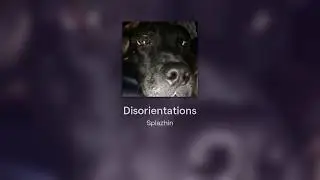 Disorientations