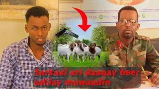 Maxkamadeynta Taliye ku xigeenkii CID-da gobolka Hiiraan oo ku eedaysan dil iyo afduub.