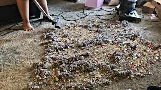 MESS TEST WITH CLEANVIEW AND NEW BISSELL ZING 🤩🤩 FOR LOVELY KIKI❤️ | Vacuum cleaner sounds