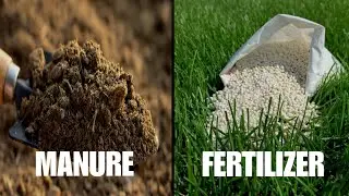 DIFFERENCE BETWEEN MANURE AND FERTILIZER