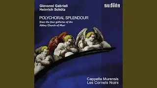Psalmen Davids für 2 Favoritchöre, 2 Capellchöre und Basso Continuo: Alleluja! Lobet den...