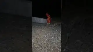 Jai shree mahakal 🙏 mhadev#horror#scarynight#live#viralshots