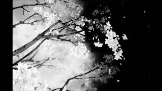 Demiii - Bara [Ambient x Icytwat Type Beat 2023]