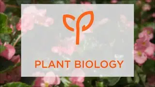CAS Major Profile: Plant Biology